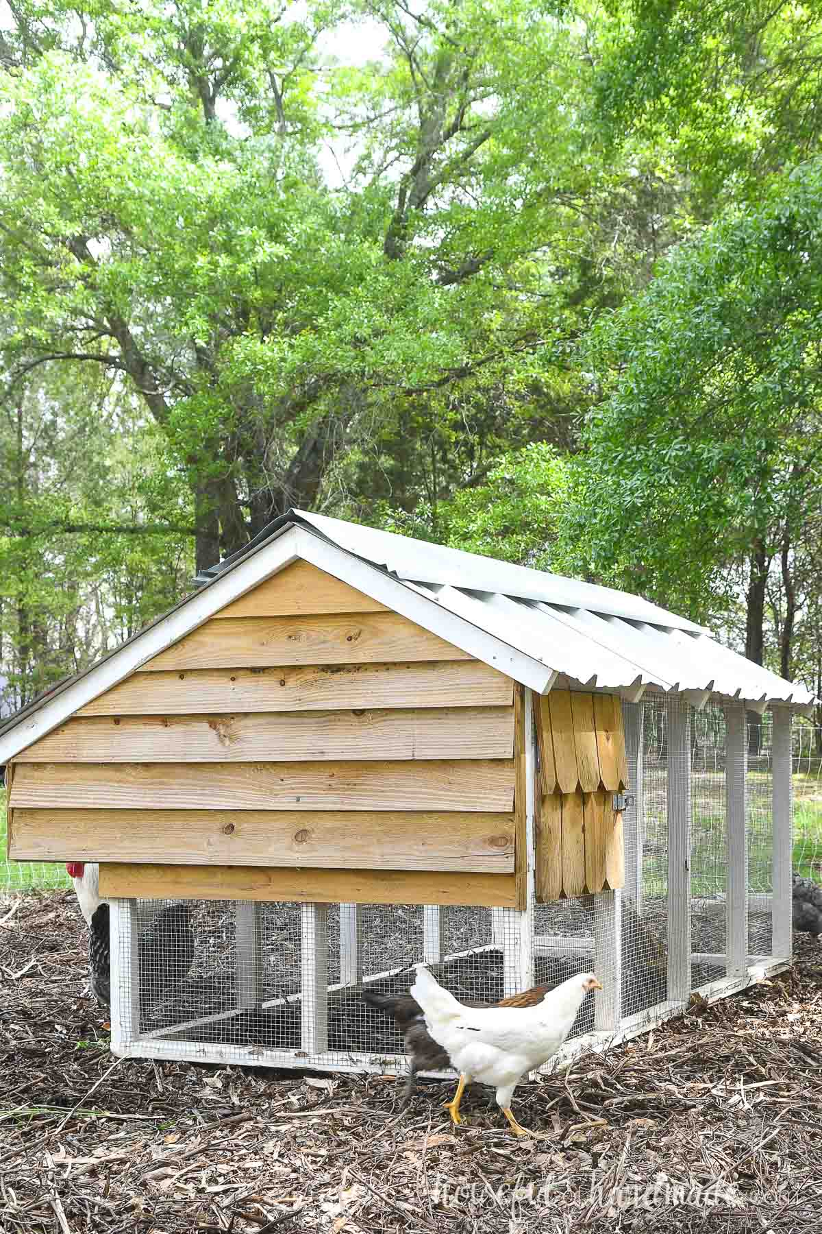 Small Chicken Coop Woodworking Plans
