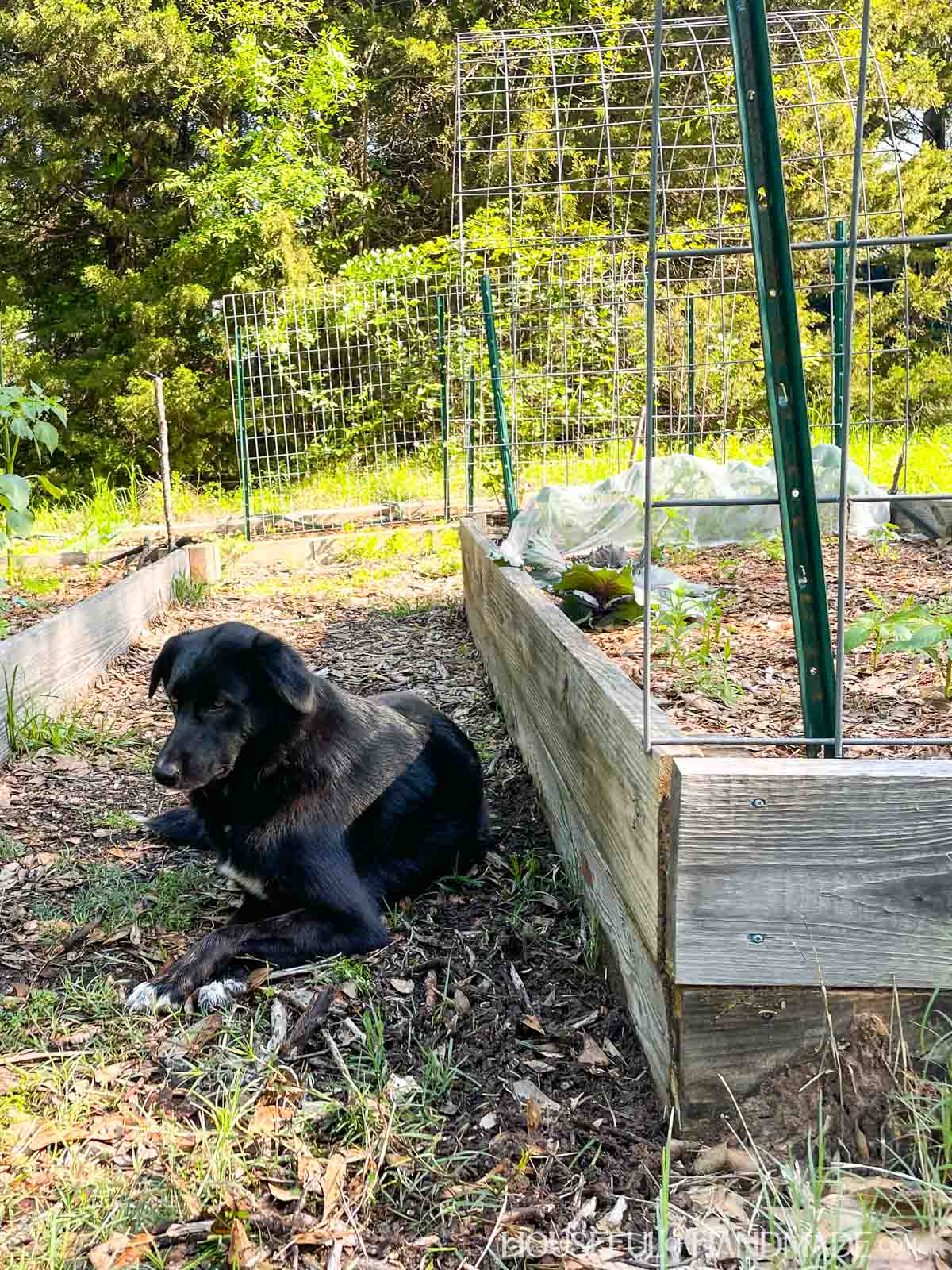Easy Raised Garden Bed Woodworking Plans