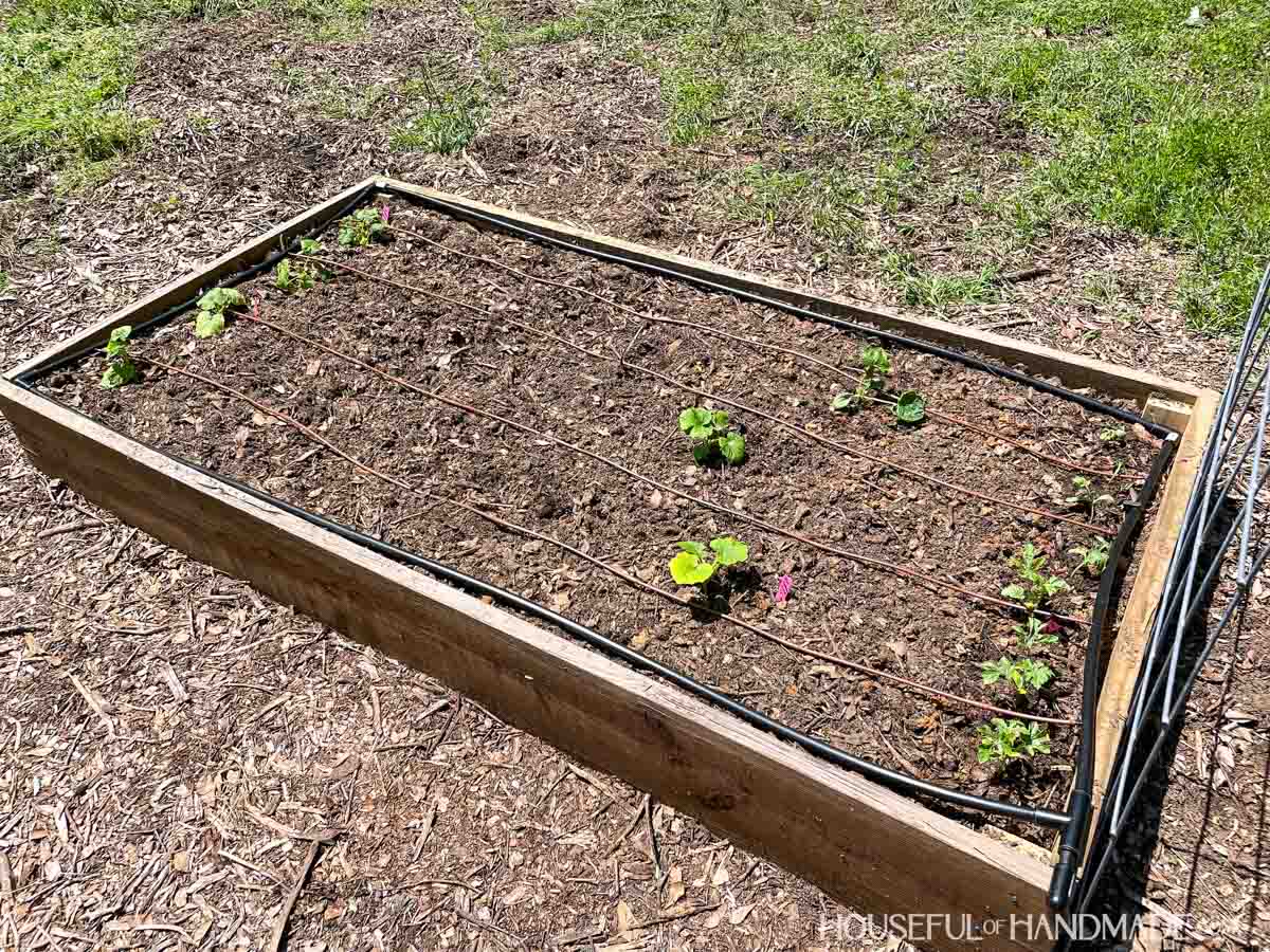 Easy Raised Garden Bed Woodworking Plans