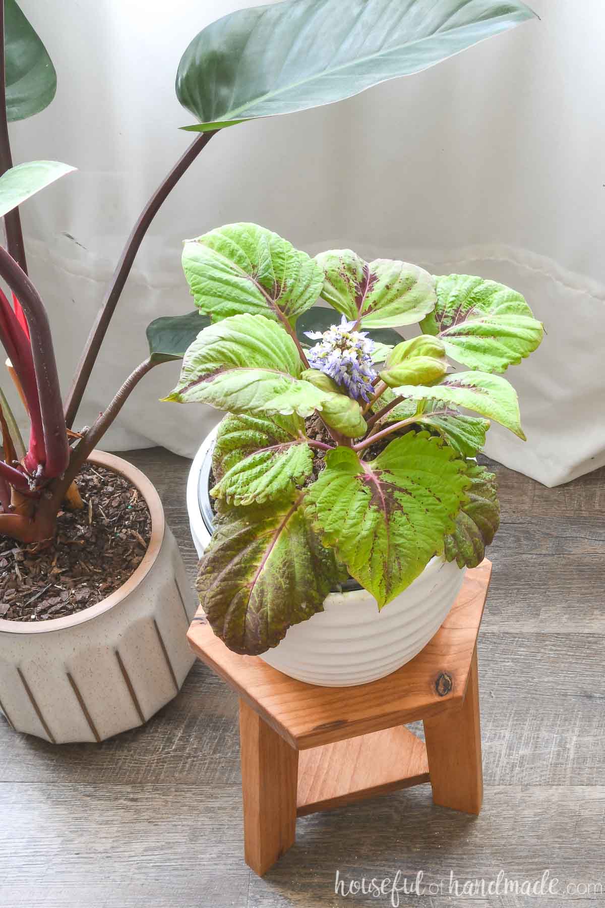 Wood Plant Stool Woodworking Plans