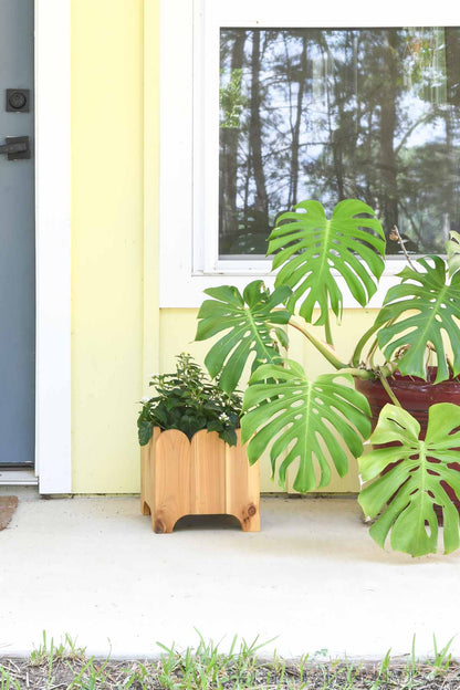 Scalloped Wood Planter Woodworking Plans