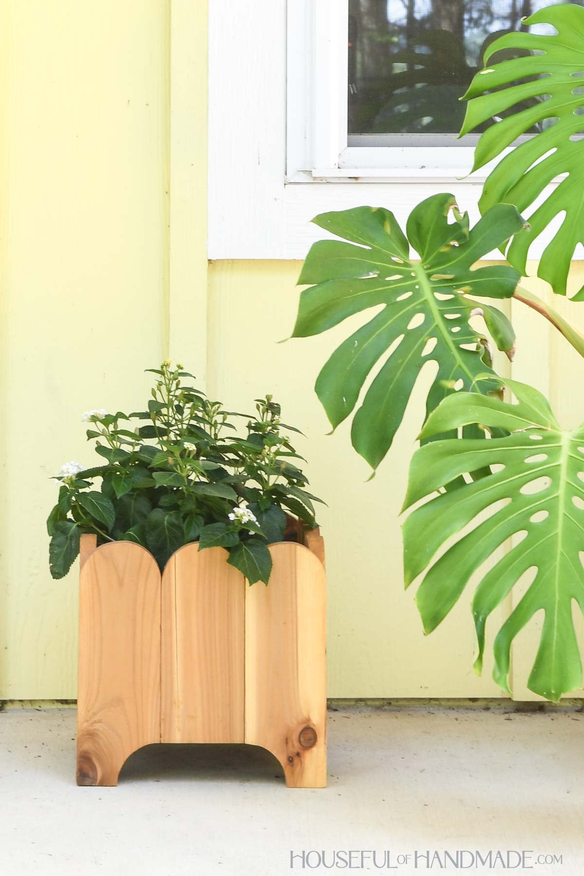 Scalloped Wood Planter Woodworking Plans