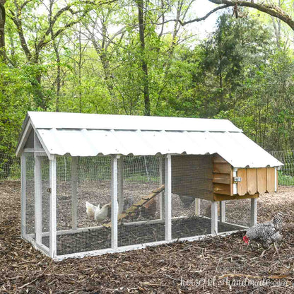 Small Chicken Coop Woodworking Plans